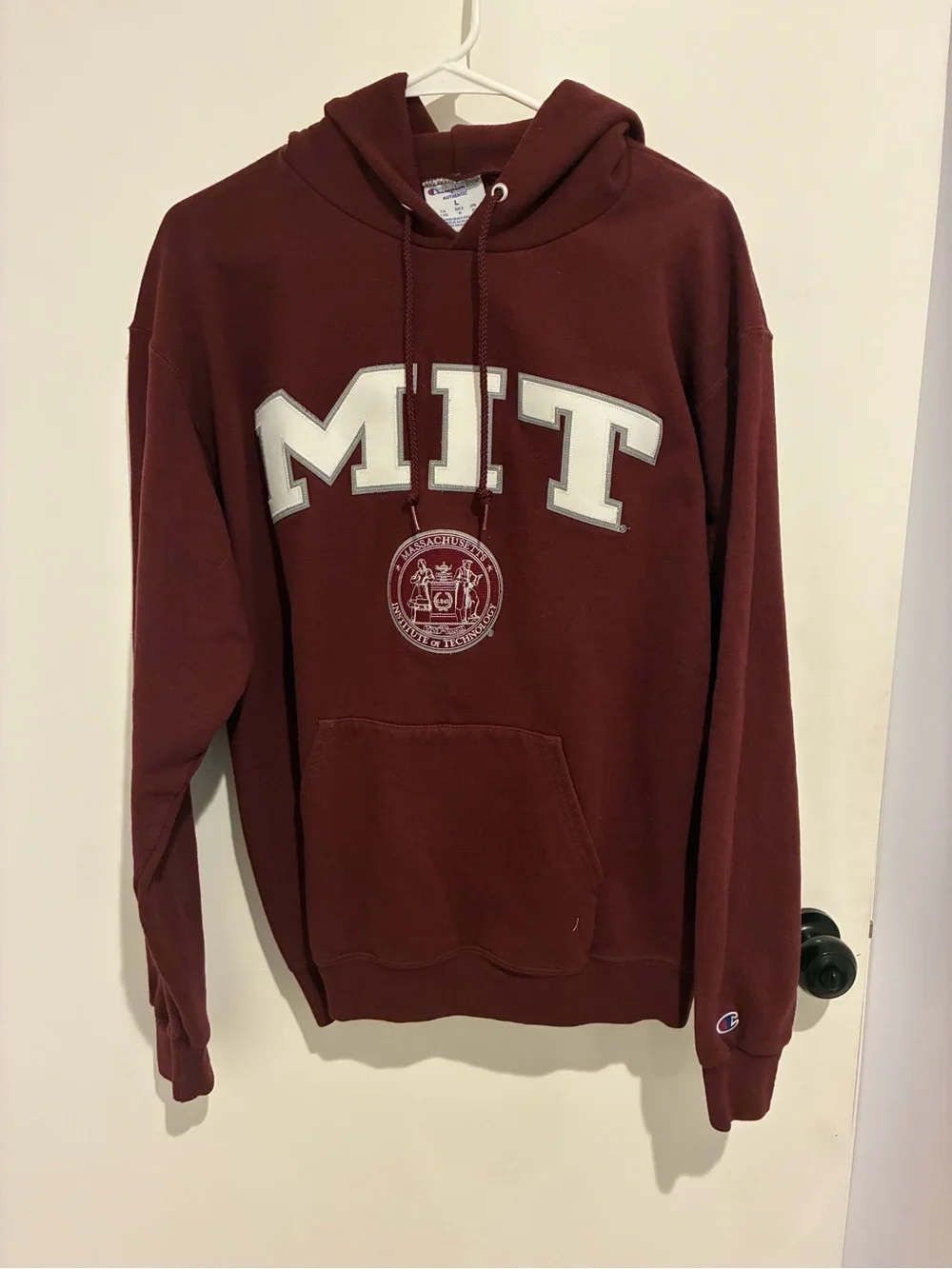 Champion Hoodie